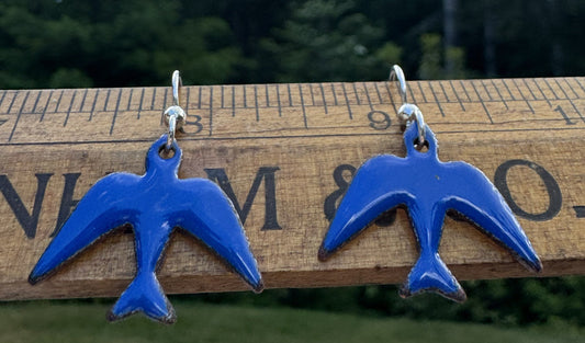 Blue Birds